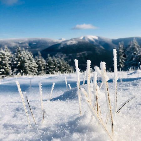 Panorama 19 Lägenhet Špindlerŭv Mlýn Exteriör bild