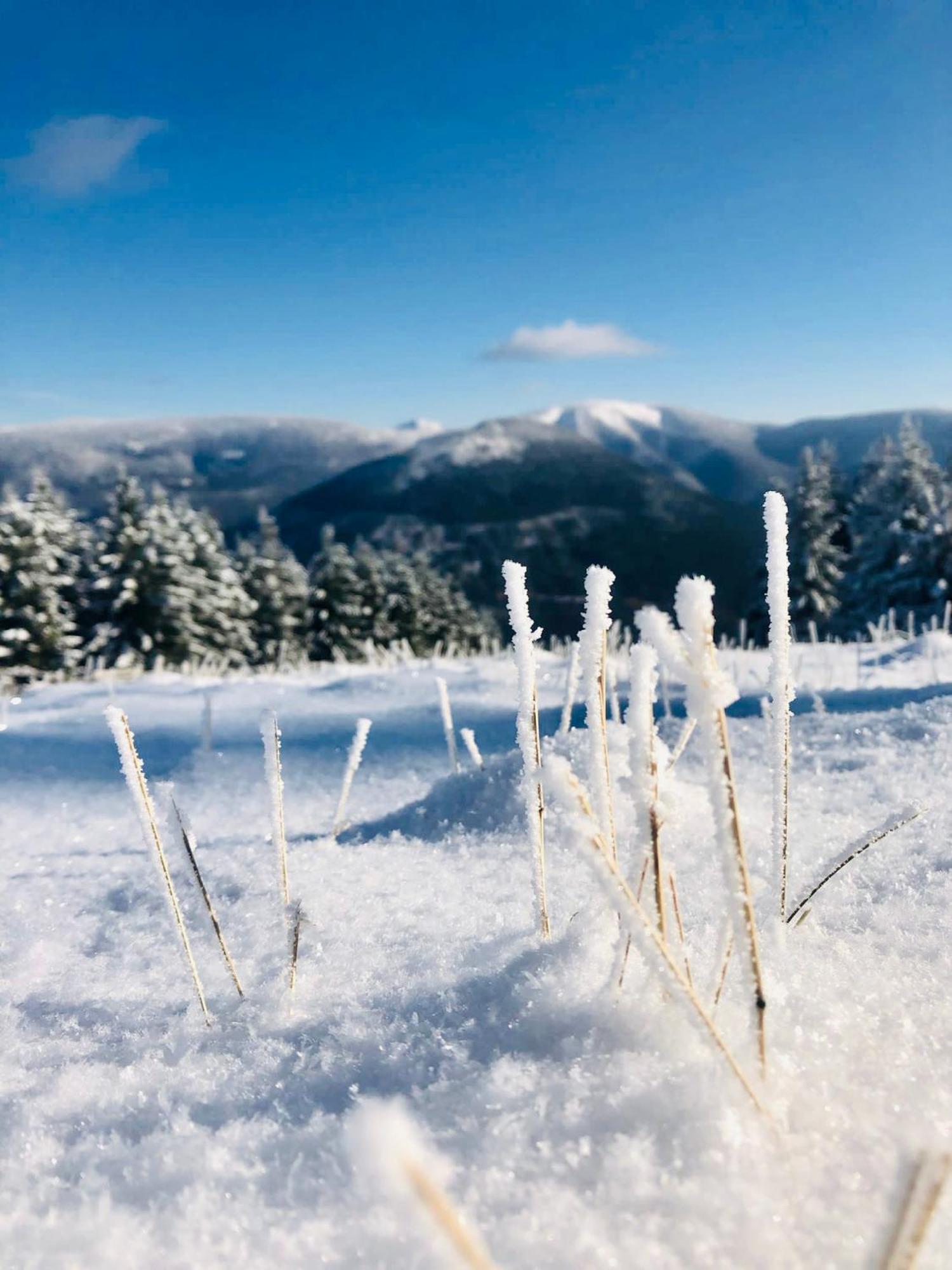 Panorama 19 Lägenhet Špindlerŭv Mlýn Exteriör bild